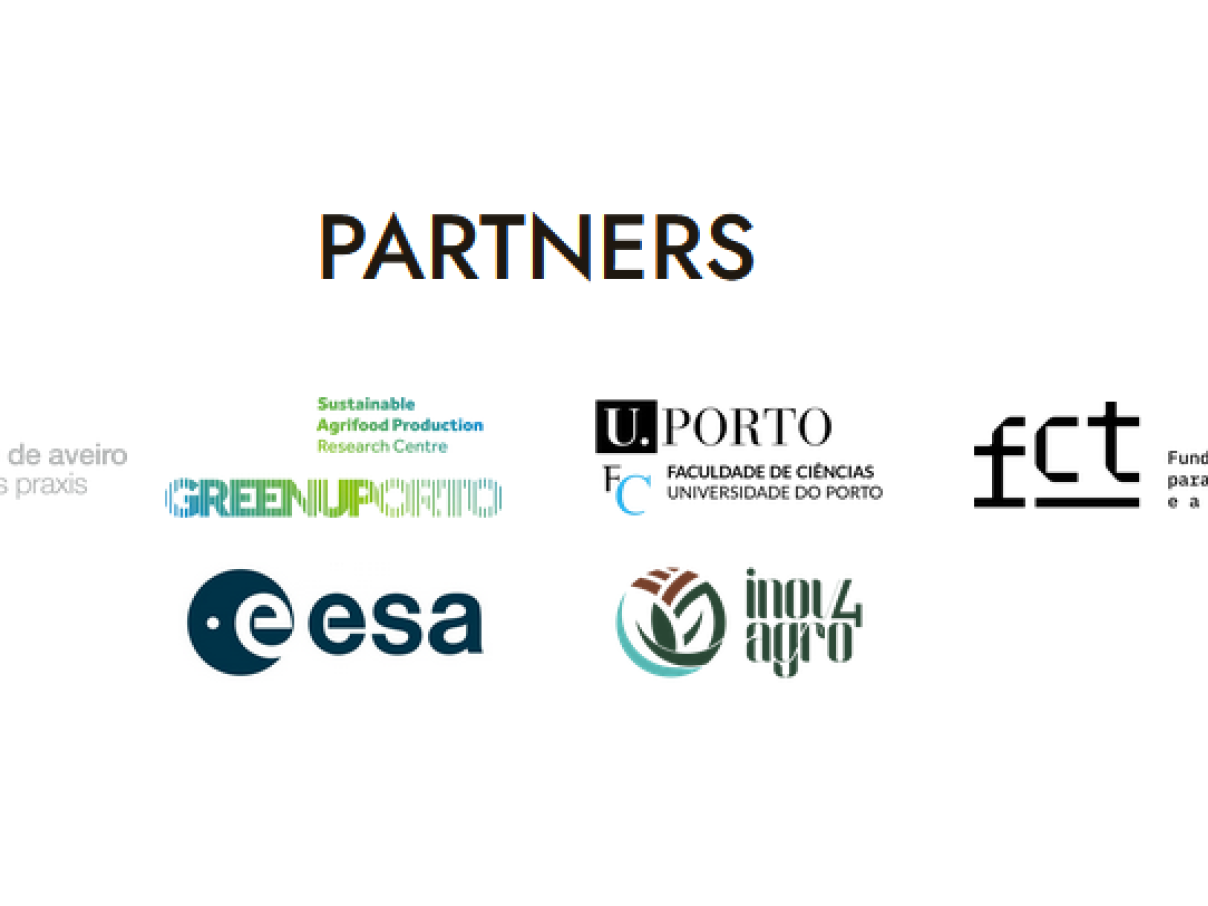 Partners